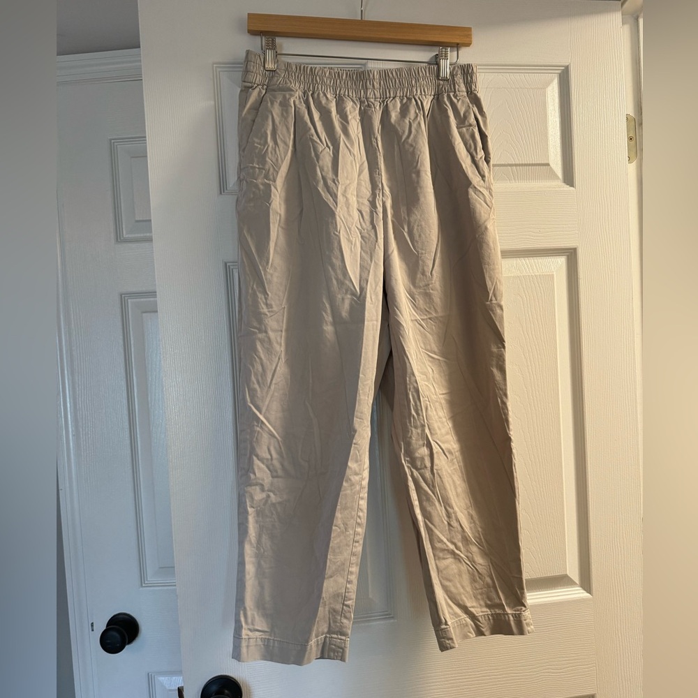 Everlane Oatmeal Pants